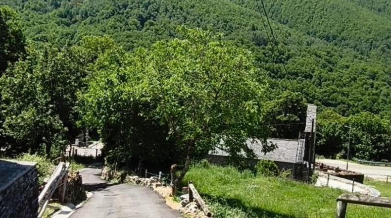Asturias - Degaña - 331m2