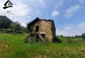 Selaya 13798&nbsp;м²