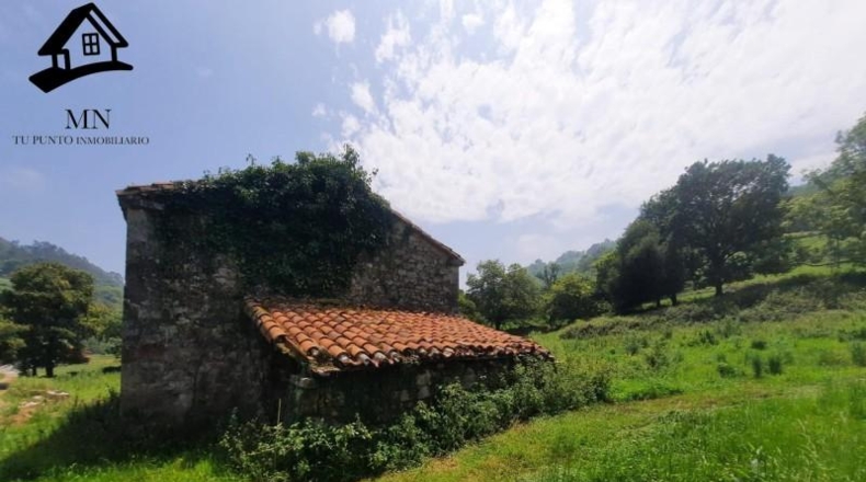 Cantàbria - Selaya - 13798m2