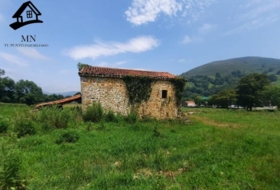 Selaya 13798&nbsp;м²