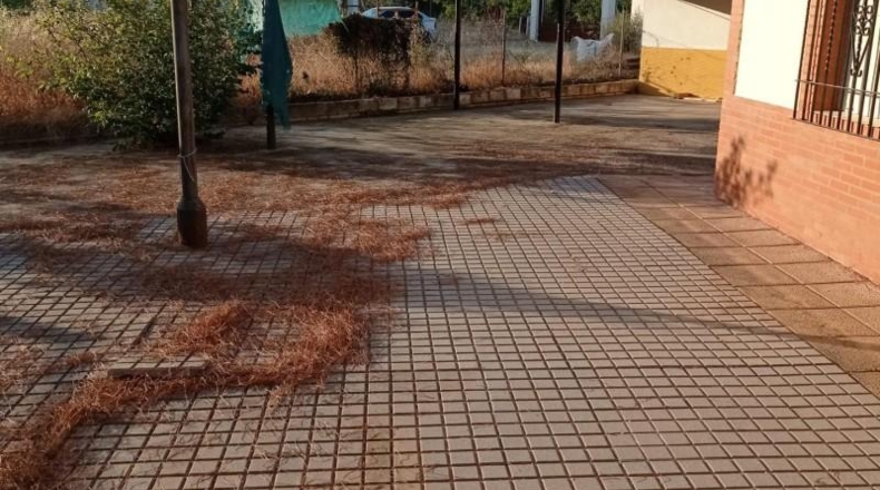 Córdoba - Almodóvar del Río - 250m2