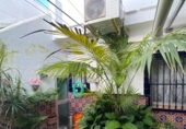 Дом с участком на продажу в городе San Juan del Puerto Фото
