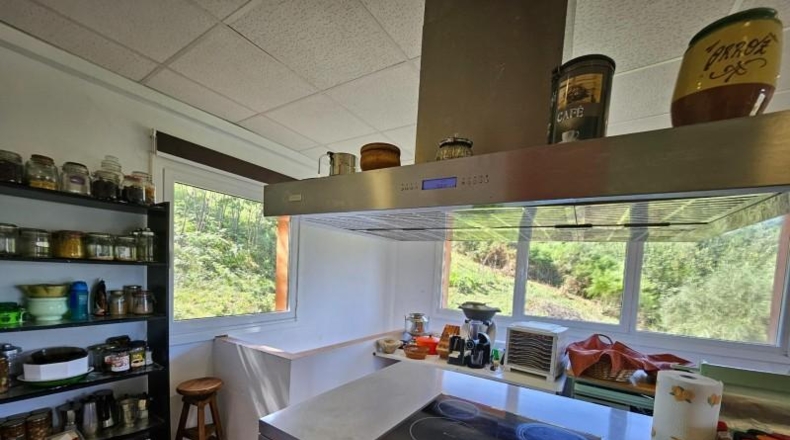 Asturias - Peñablanca - 38000m2