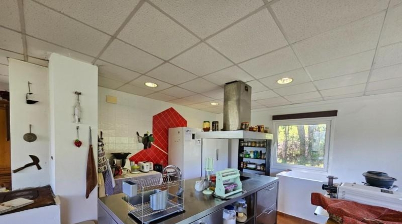 Asturias - Peñablanca - 38000m2