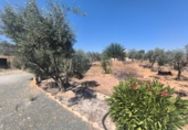 Casa de campo con terreno en venta en la España, Elche, ref: TR416620 foto