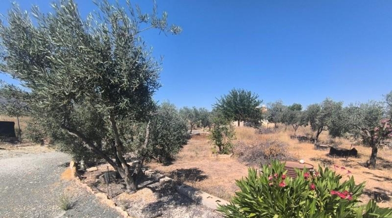 Alicante - Elche - 11582m2