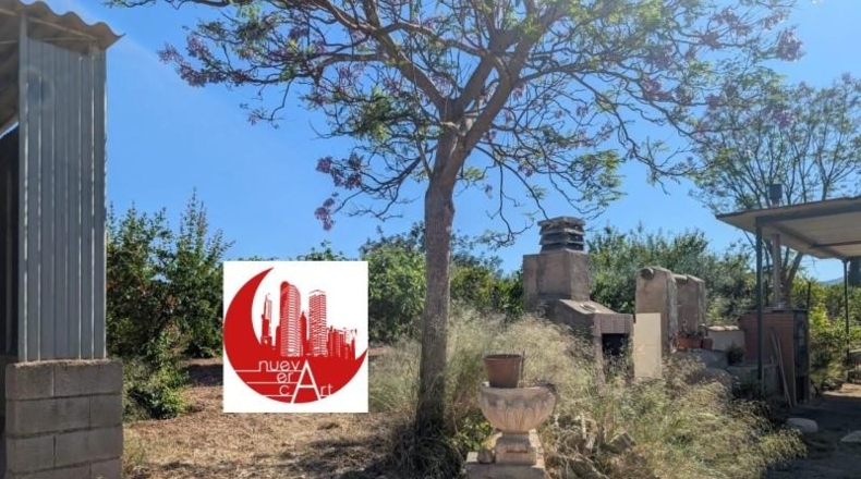 Murcia - Fuente Álamo - 14192m2