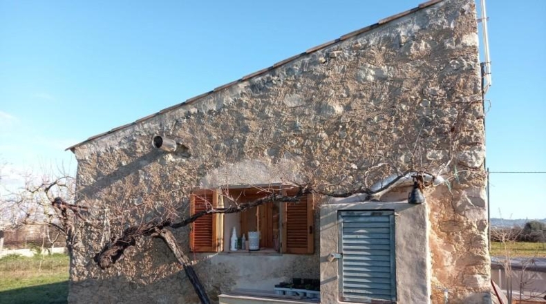 Islas Baleares - Algaida - 50m2