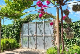 Palma 50&nbsp;m²
