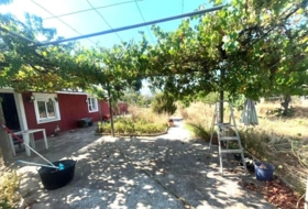 Palma 50&nbsp;m²