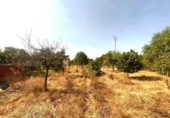 Casa de campo con terreno en venta en la España, Palma, ref: TR416655 foto
