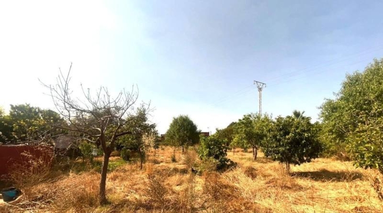 Islas Baleares - Palma - 50m2