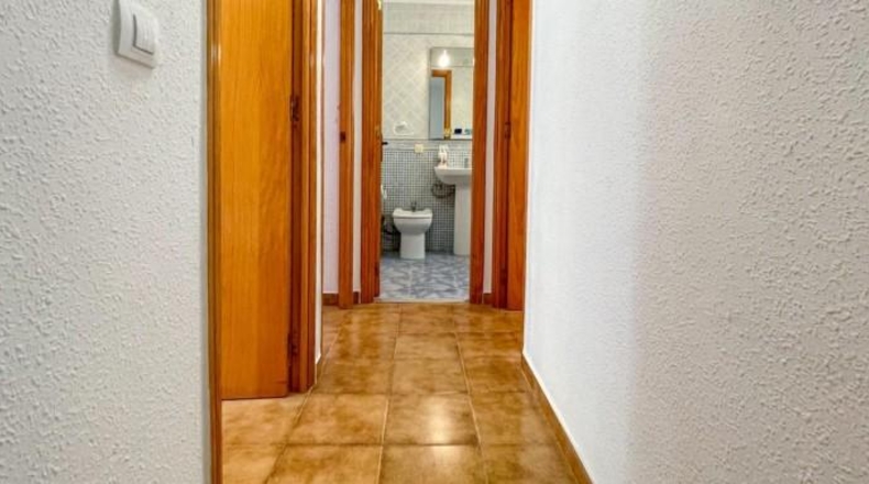 Alicante - Orihuela - 81m2
