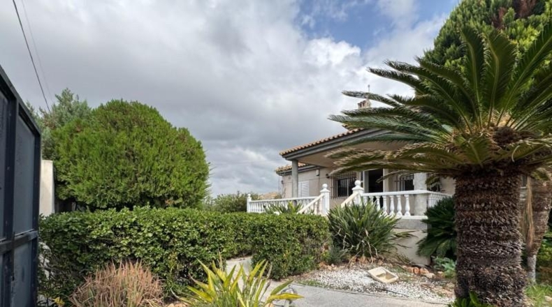 Мурсия - Murcia - 2000m2