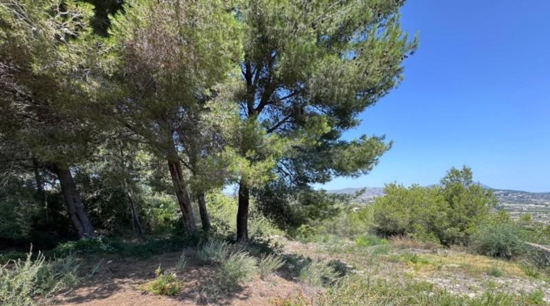 Alicante - Moraira - 801m2