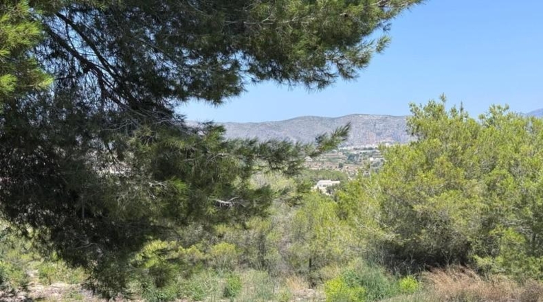 Alicante - Moraira - 801m2