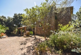 Puigpunyent 16000&nbsp;m²
