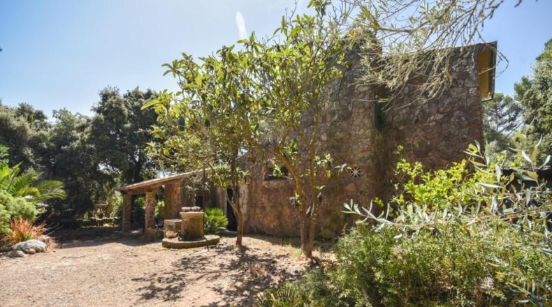 Islas Baleares - Puigpunyent - 16000m2