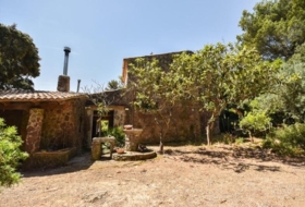Puigpunyent 16000&nbsp;m²