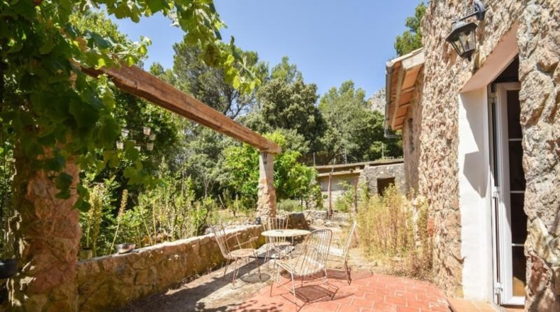 Islas Baleares - Puigpunyent - 16000m2