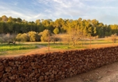 Parcel·la urbanitzable en venda a la España, Porreres, ref.: TR408719 foto