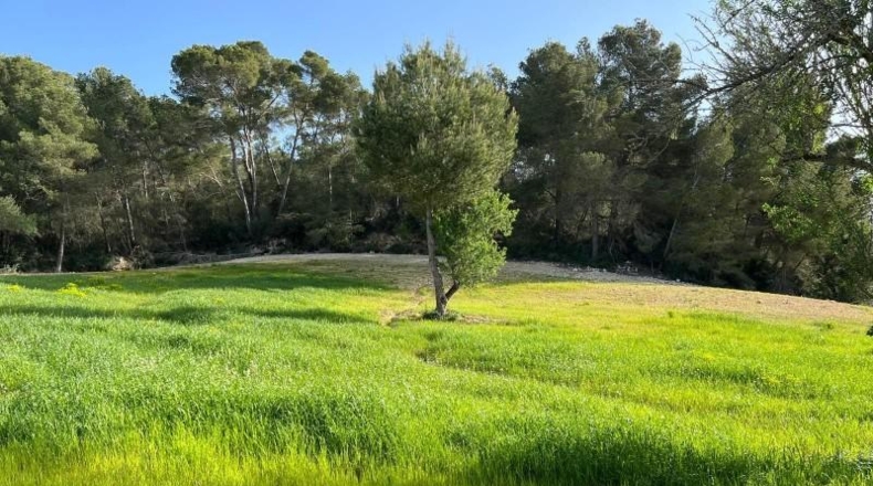 Islas Baleares - Porreras - 23285m2