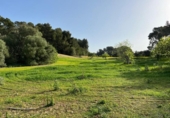 Parcel·la urbanitzable en venda a la España, Porreres, ref.: TR408719 foto