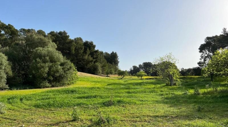 Islas Baleares - Porreras - 23285m2