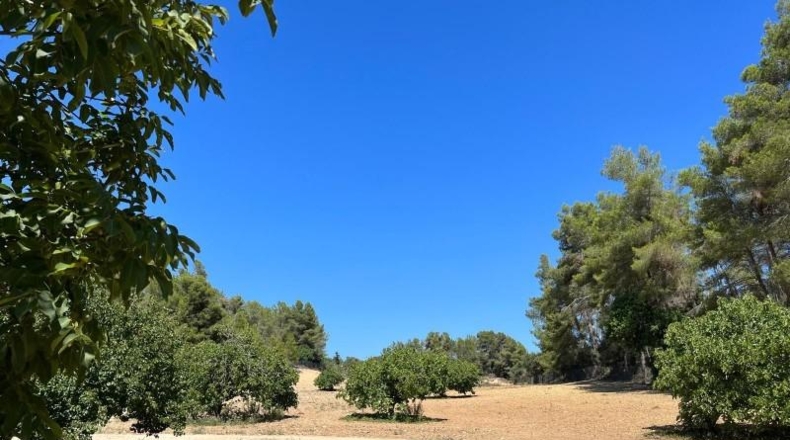 Islas Baleares - Porreras - 23285m2