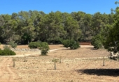 Parcel·la urbanitzable en venda a la España, Porreres, ref.: TR408719 foto