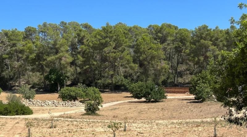 Islas Baleares - Porreras - 23285m2