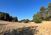 Parcel·la urbanitzable en venda a la España, Porreres, ref.: TR408719 foto