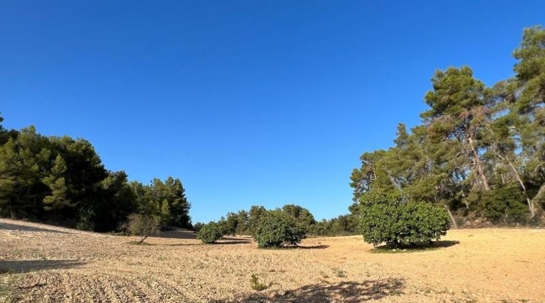 Islas Baleares - Porreras - 23285m2