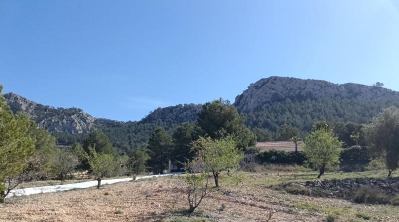 Múrcia - Favanella - 8521m2
