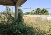 Chalet independiente con terreno en venta en la España, Amposta, ref: TR416711 foto
