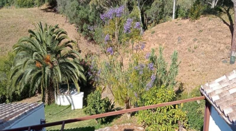 Малага - Casares - 24990m2