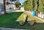 Chalet independiente con terreno en venta en la España, Chiclana de la Frontera, ref: TR287691 foto