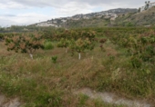 Suelo urbano en venta en la España, Salobreña, ref: TR403079 foto
