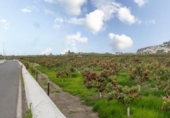 Suelo urbano en venta en la España, Salobreña, ref: TR403079 foto