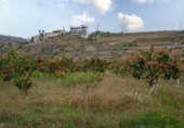 Suelo urbano en venta en la España, Salobreña, ref: TR403079 foto