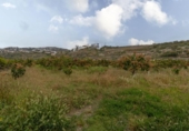 Suelo urbano en venta en la España, Salobreña, ref: TR403079 foto