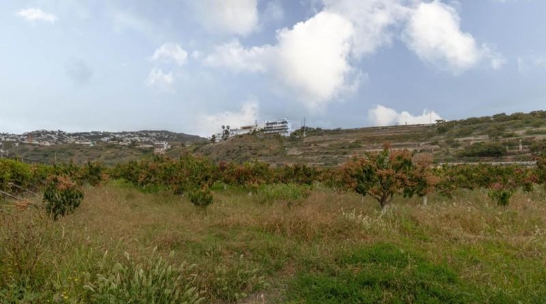 Granada - Salobreña - 23233m2
