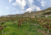 Suelo urbano en venta en la España, Salobreña, ref: TR403079 foto