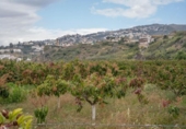 Suelo urbano en venta en la España, Salobreña, ref: TR403079 foto