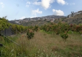 Suelo urbano en venta en la España, Salobreña, ref: TR403079 foto