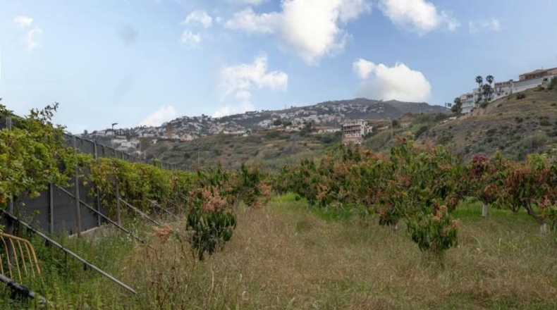 Granada - Salobreña - 23233m2