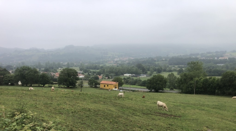 Cantàbria - Prases - 32623m2