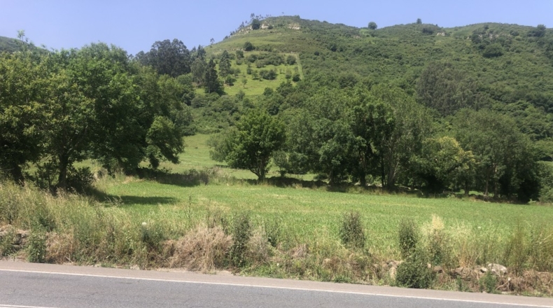 Cantàbria - Prases - 32623m2