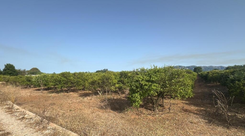 Tarragona - Masdenverge - 26m2