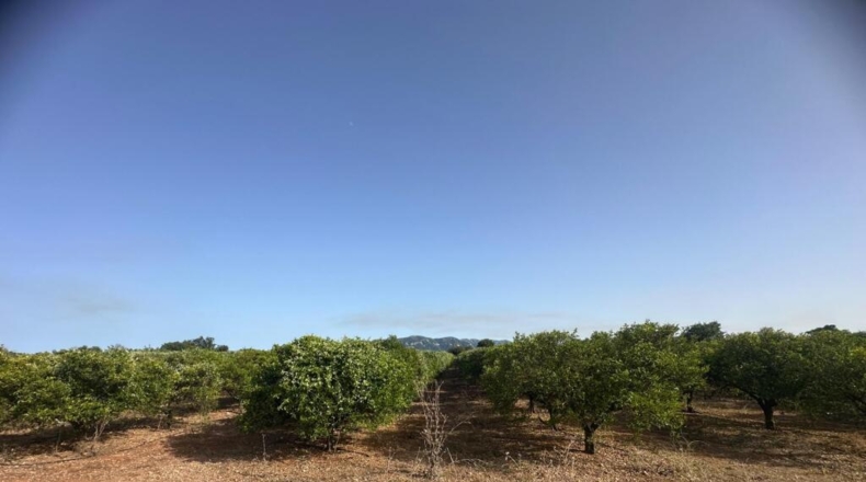 Tarragona - Masdenverge - 26m2